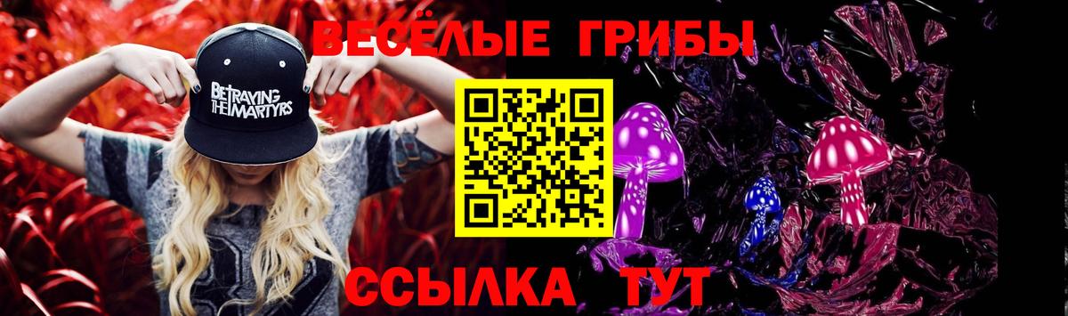 Псилоцибиновые грибы мицелий Санкт-Петербург